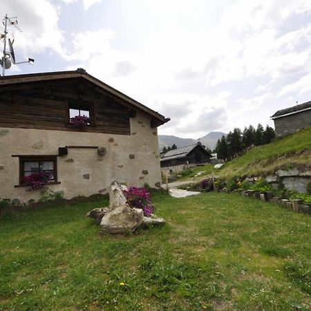 Mountain Chalet Scoiattolo By Livigno Accomodation 외부 사진
