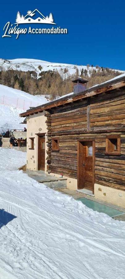 Mountain Chalet Scoiattolo By Livigno Accomodation 외부 사진