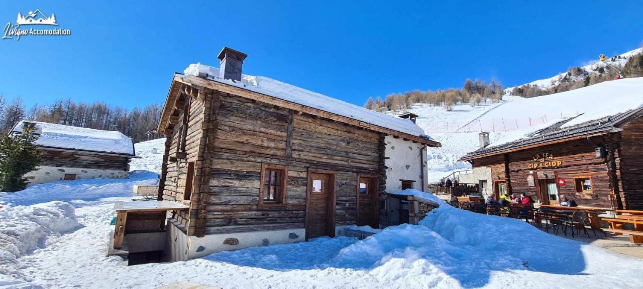 Mountain Chalet Scoiattolo By Livigno Accomodation 외부 사진