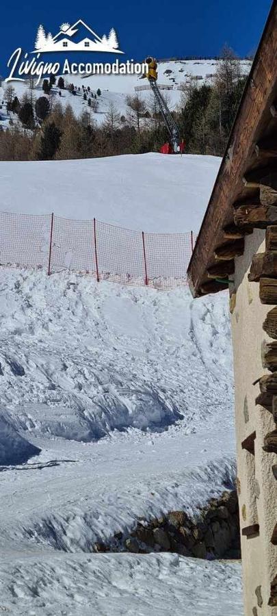 Mountain Chalet Scoiattolo By Livigno Accomodation 외부 사진