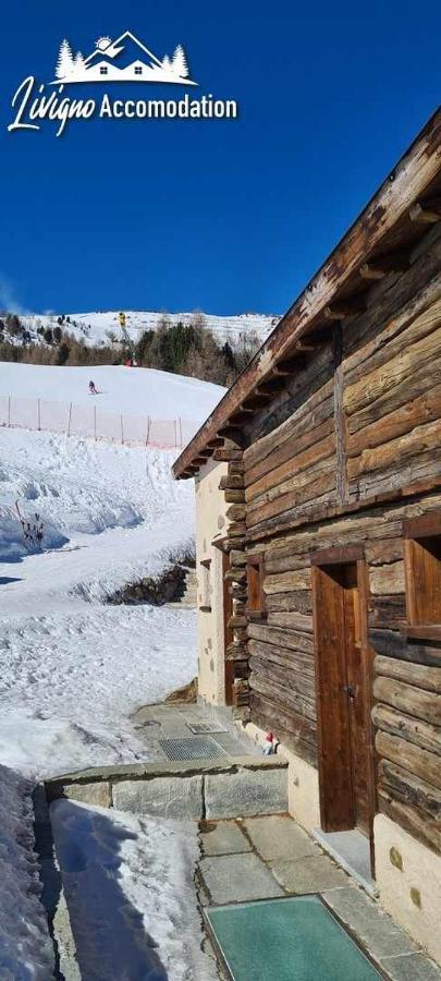 Mountain Chalet Scoiattolo By Livigno Accomodation 외부 사진