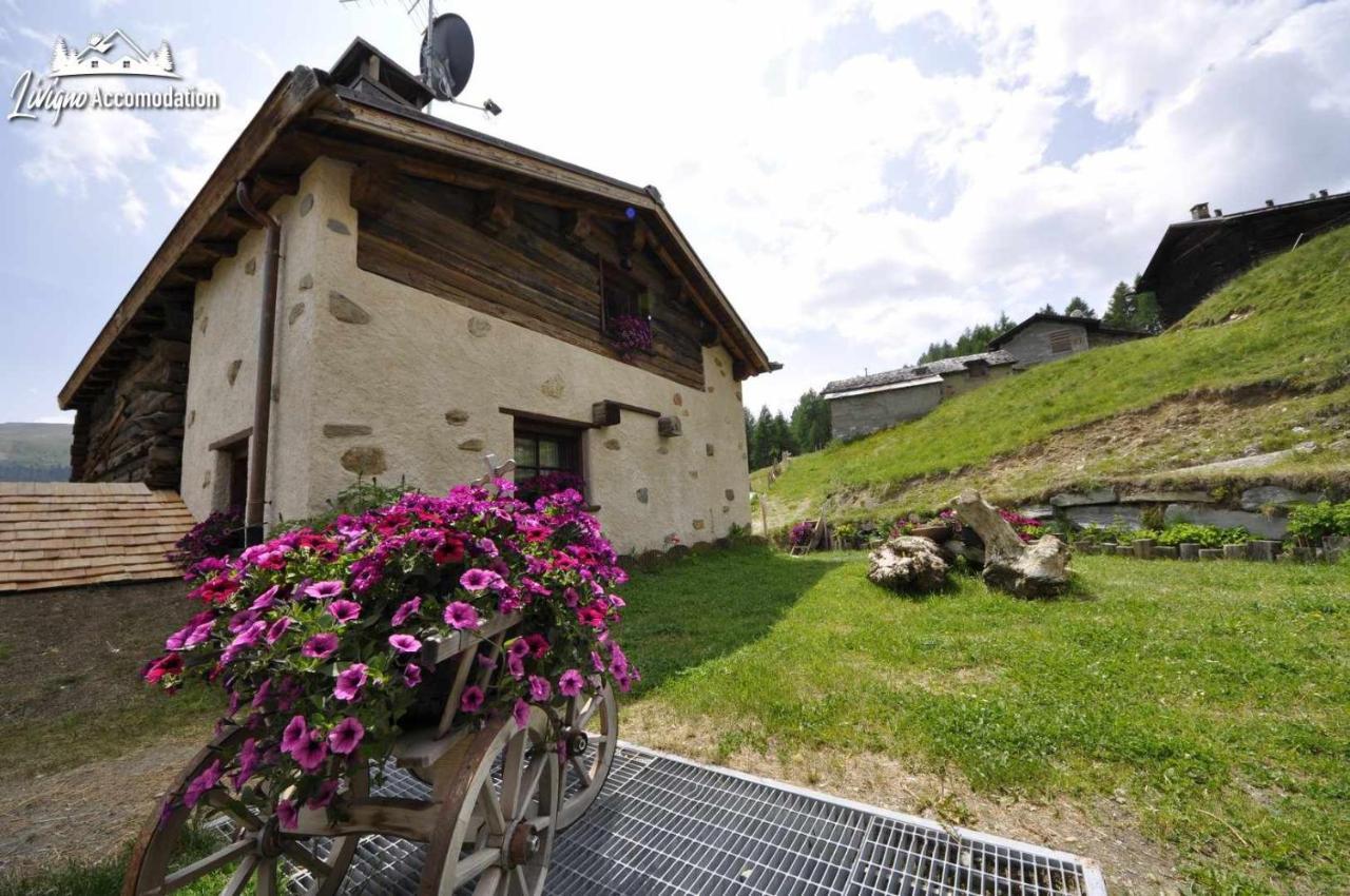 Mountain Chalet Scoiattolo By Livigno Accomodation 외부 사진