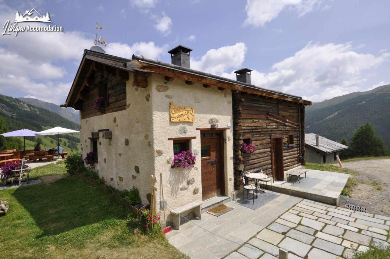 Mountain Chalet Scoiattolo By Livigno Accomodation 외부 사진