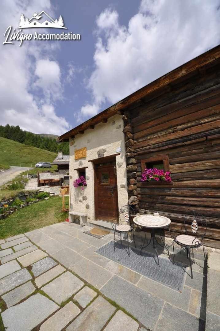Mountain Chalet Scoiattolo By Livigno Accomodation 외부 사진