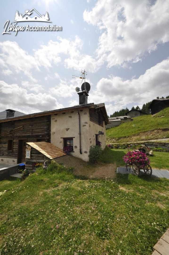 Mountain Chalet Scoiattolo By Livigno Accomodation 외부 사진