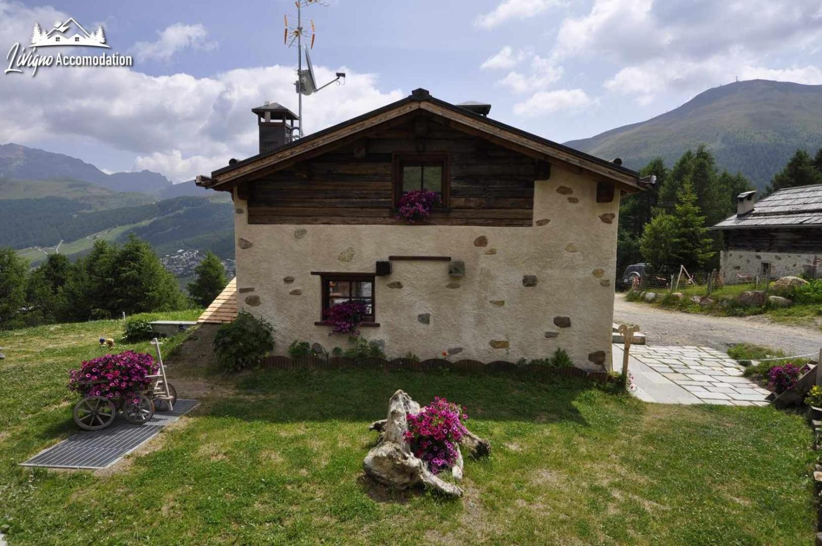 Mountain Chalet Scoiattolo By Livigno Accomodation 외부 사진